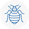 Bed Bug Extermination In Llanharan